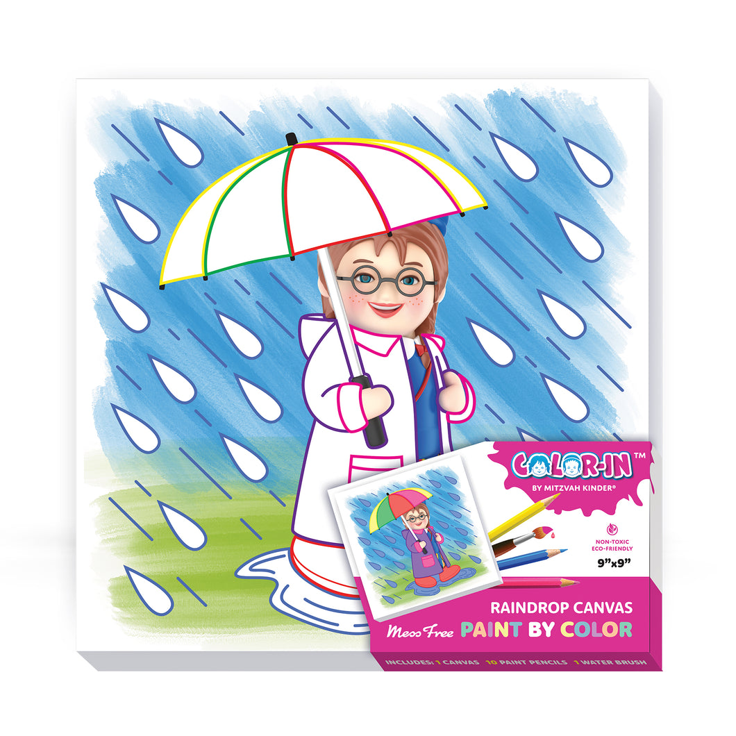 Color-In Paint-by-Color Canvas - Raindrop